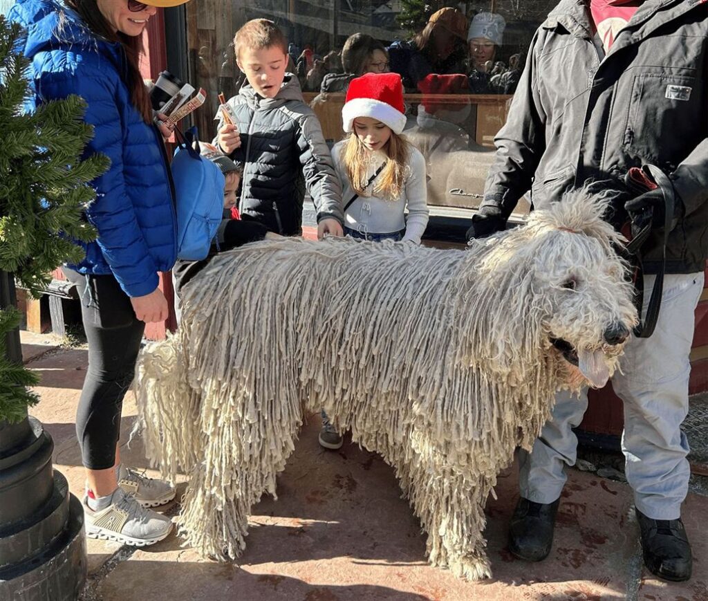 Arthur Exploring Georgetown Colorado