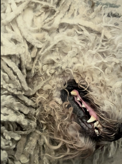 Arthur Giving Early Morning Smiles