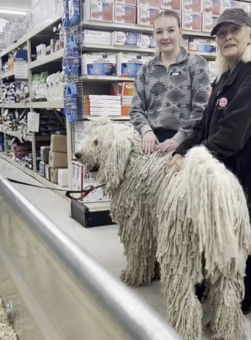 Arthur Komondor Goes To Murdoch’s And Meets More New Friends Part 1