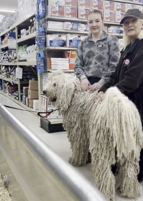 Arthur Komondor Goes To Murdoch's And Meets More New Friends